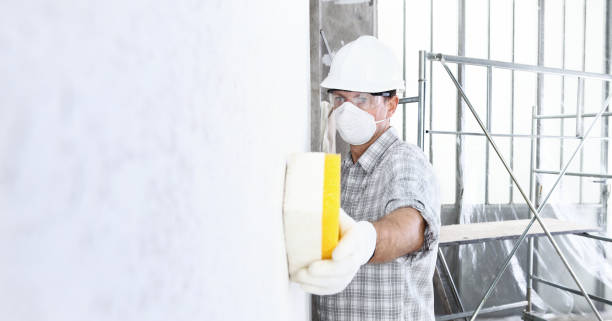 Mold Documentation for Insurance Claims in Mebane, NC